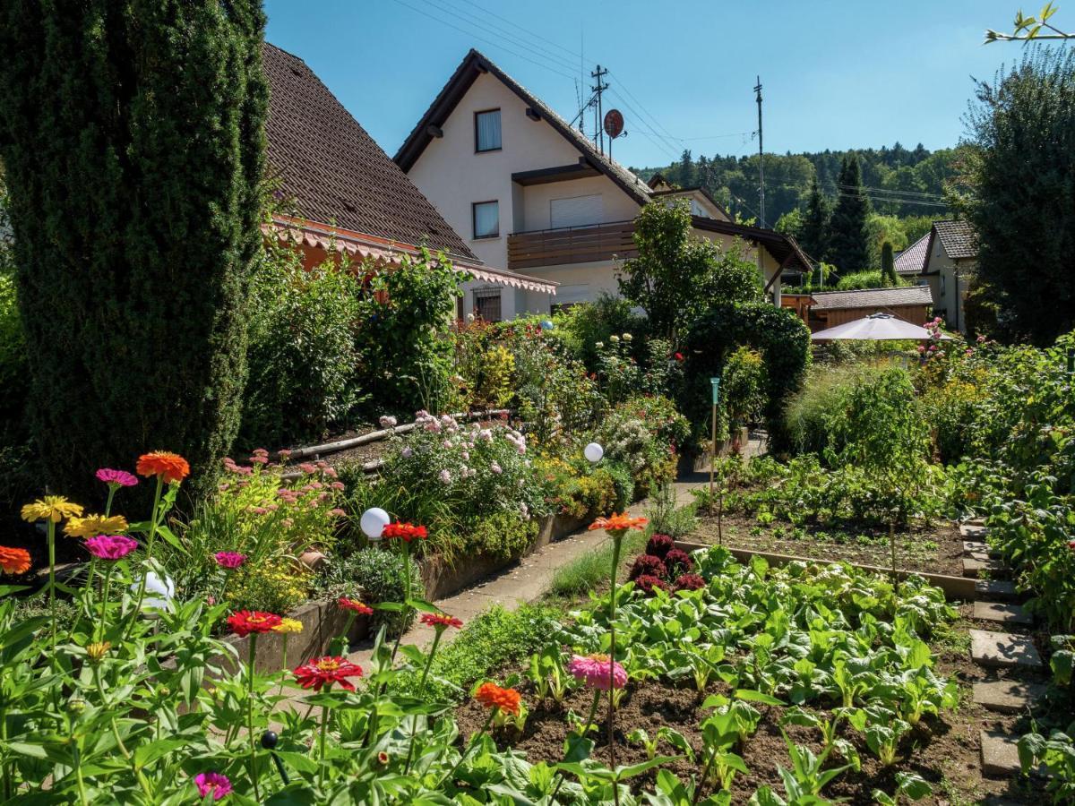 Cheerful Apartment Near City Centre Of Haslach Haslach im Kinzigtal Extérieur photo