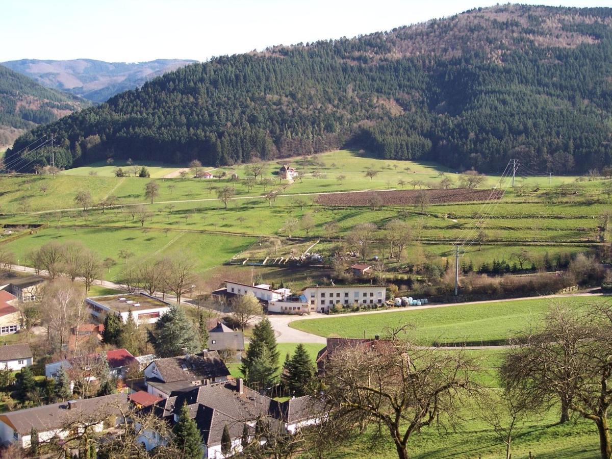 Cheerful Apartment Near City Centre Of Haslach Haslach im Kinzigtal Extérieur photo